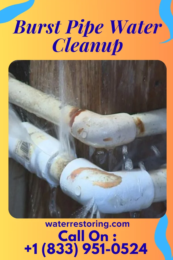 Burst Pipe Water Cleanup in Glenwood, IN