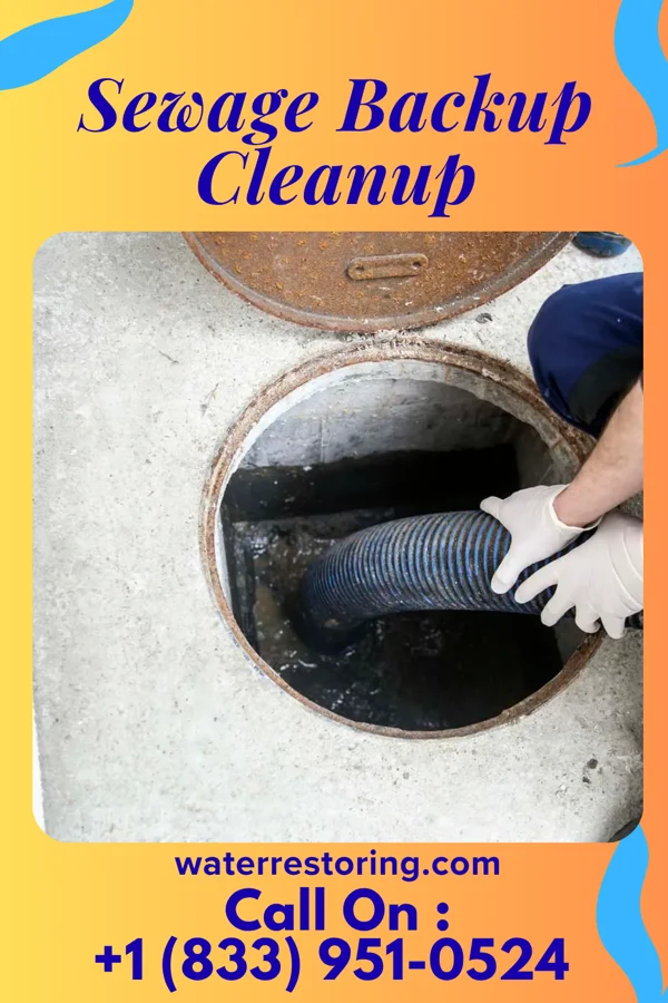 Sewage Backup Cleanup in Glenwood, IN